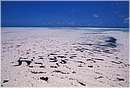 zanzibar0076.jpg