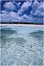 zanzibar0077.jpg
