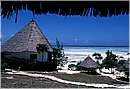 zanzibar0082.jpg
