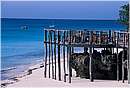 zanzibar0083.jpg
