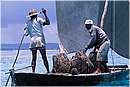 zanzibar0110.jpg