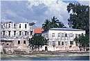 zanzibar0113.jpg