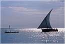 zanzibar0114.jpg