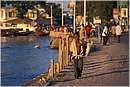 zanzibar0118.jpg