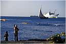 zanzibar0131.jpg