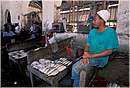 zanzibar0148.jpg
