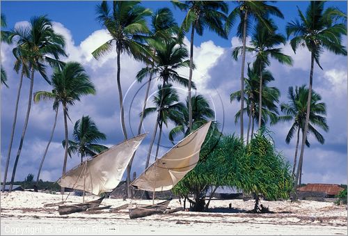 TANZANIA - ZANZIBAR  (Oceano Indiano) - Matemwe - costa est - la spiaggia