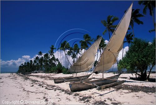 TANZANIA - ZANZIBAR  (Oceano Indiano) - Matemwe - costa est - la spiaggia