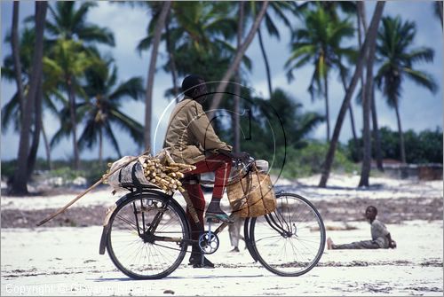 TANZANIA - ZANZIBAR  (Oceano Indiano) - Matemwe - costa est