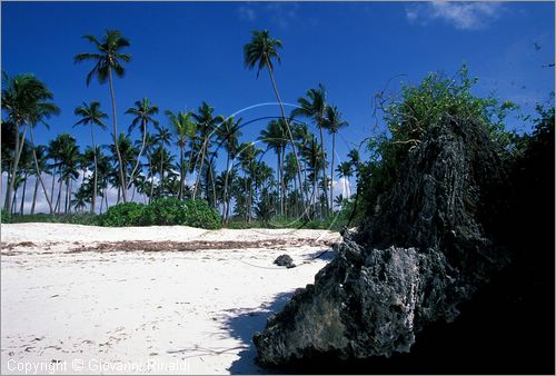 TANZANIA - ZANZIBAR  (Oceano Indiano) - Matemwe - costa est