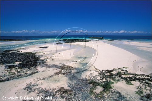 TANZANIA - ZANZIBAR  (Oceano Indiano) - Kizimkazi (estremit sud dell'isola) - la spiaggia durante la bassa marea