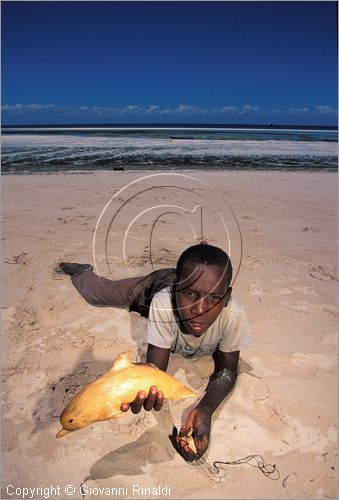 TANZANIA - ZANZIBAR  (Oceano Indiano) - Kizimkazi (estremit sud dell'isola) - un bambino gioca con un delfino in legno di artigianato locale