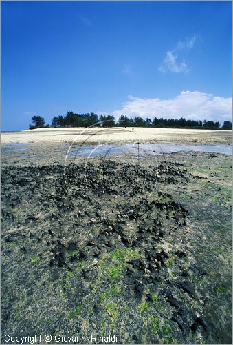 TANZANIA - ZANZIBAR  (Oceano Indiano) - Bawe Island