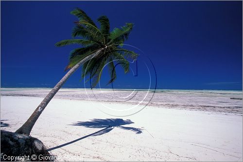 TANZANIA - ZANZIBAR  (Oceano Indiano) - Bwejuu - costa est