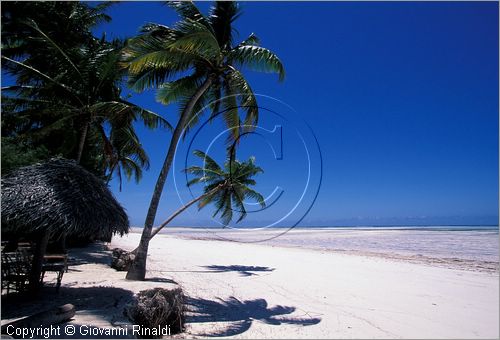 TANZANIA - ZANZIBAR  (Oceano Indiano) - Bwejuu - costa est