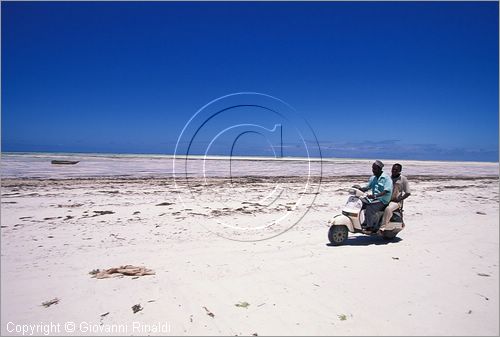 TANZANIA - ZANZIBAR  (Oceano Indiano) - Bwejuu - costa est - si sfrutta la bassa marea per muoversi in vespa