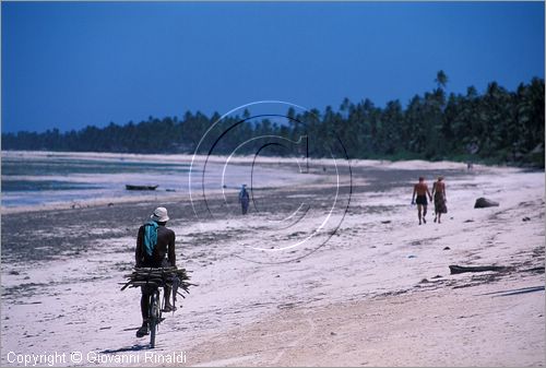 TANZANIA - ZANZIBAR  (Oceano Indiano) - Bwejuu - costa est - si sfrutta la bassa marea per muoversi in bicicletta