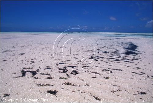 TANZANIA - ZANZIBAR  (Oceano Indiano) - Nungwi - costa nord - bassa marea