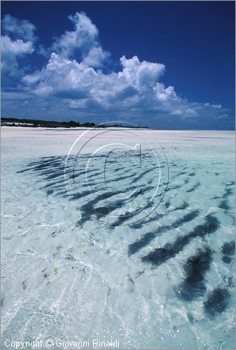 TANZANIA - ZANZIBAR  (Oceano Indiano) - Nungwi - costa nord - bassa marea