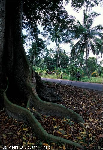 TANZANIA - ZANZIBAR  (Oceano Indiano)